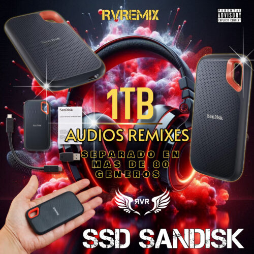 SSD 1 TB AUDIO REMIXES