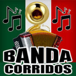 BANDA 2